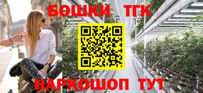 СК Сланцы