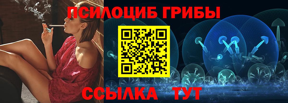 Саратов  Галлюциногенные грибы Magic Shrooms  где продают наркотики  Псилоцибиновые грибы GOLDEN TEACHER  Вход с VPN 